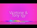 Vicetone & Tony Igy - Astronomia