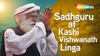 Sadhguru Offers Abhishekam to Kashi Vishwanath Linga | Shemaroo Spiritual Life