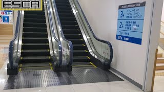 【三基】ケーズデンキ たまプラーザ エスカレーター B1-3F 三菱 K's denki Tama plaza Mitsubishi Escalator