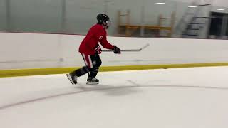 Hockey Punch Stop/Jab