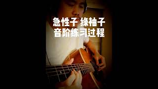 急性子《绿袖子》音阶练习曲