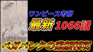 【最新1066話】とうとう明かされたベガパンクの素顔！衝撃の最新話【ワンピース】【ネタバレ】