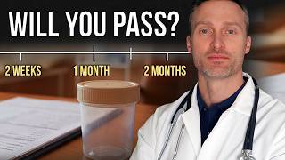 Will You Pass Your Drug Test in 2026? Here's the Timeline