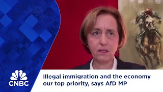 Illegal immigration and the economy our top priority, says AfD MP