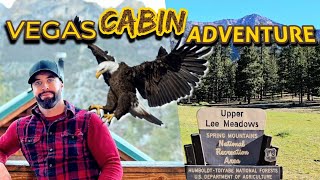 Exploring the cabins at Mt Charleston and why you need this adventure now!