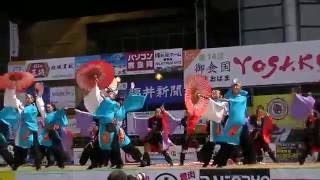 爽龍隊　第14回御食国若狭おばまYOSAKOI祭　2016.9.11