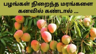 பழங்கள் நிறைந்த மரங்களை கனவில் கண்டால் l If you see trees full of fruits in your dream l கனவு