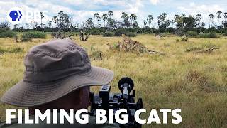 Filming Africa's Three Big Cats