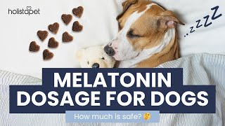 How Much Melatonin Can I Give My Dog?