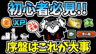 【にゃんこ大戦争】初心者必見！にゃんこ大戦争で大事なことはコレ！【The Battle Cats】