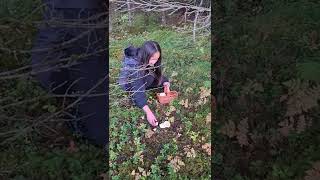 Piggsopp/Mushroom Hunting