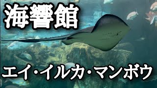 【水族館】山口県海響館に行ってみた！！　『ペンギン・エイ・サメ・イルカ・スナメリ・ピラルクなど』　ハロウィンバージョン