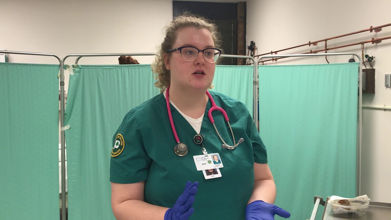 Intubation Assist Youtube