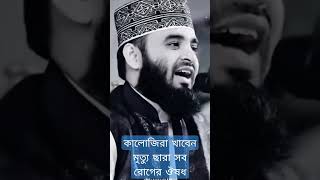 কালোজিরা খাবেন মৃত্যু ছারা সব রোগের ঔষধ। #shorts #shortsvideo #subscribe #islamic #mizanur_rahman_