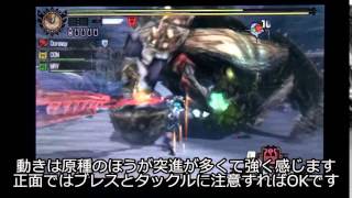 【MH4G】 散歩14 G★2キークエ 「ゲネル・セルタス亜種を狩れ！」　ゲネル・セルタス亜種 - チャージアックス