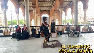 EL FLAMENCO de Sevillanas 2024 Ep.305 | Plaza de España #flamenco #sevilla #pblove