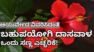 ದಾಸವಾಳದ ಹೂವಿನ ಉಪಯೋಗಗಳೇನು?|Hibiscus for hair growth| Dasavala flower uses in kannada