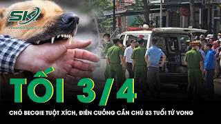 Tối 3/4: Khiếp sợ chó becgie điên cuồng cắn cụ ông 83 tuổi tử vong, vợ bất lực không thể cứu chồng