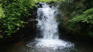 茨城県　常陸太田市　大菅町　里川　河鹿沢　田平の滝