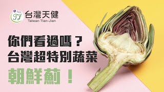 台灣竟然也有朝鮮薊！？你有看過這種蔬菜嗎？【天健朝鮮薊農場】