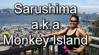 Sarushima Island - Monkey Island Japan