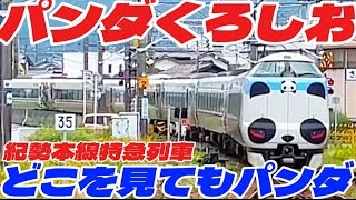 【かわいい】特急くろしお1号ってどこをみてもパンダになっている件。〜1日で紀伊半島一周旅〜