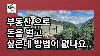 다물사주 청암 김석택... 부동산 개발로 많은 수익을 꿈꾸다가 .......