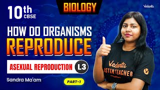 How Do Organisms Reproduce L3 | Asexual Reproduction | Class 10 Biology | CBSE 2025 | Sandra Ma'am