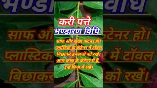 kadi patta saving tip | Best way to store fresh curry leaves