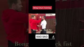 Wing Chun Training : kung fu fighting technique for beginners How to basic !