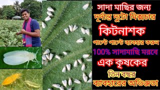 two types of mixture insecticide for brinjal whitefly control #beguner/বেগুনের সাদামাছির বিনাশকারী