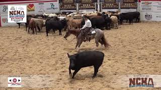 All Spice \u0026 Adan Banuelos win 2020 NCHA Futurity Open