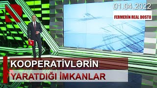 Fermerin REAL dostu: Kooperativlərin yaratdığı imkanlar - 01.04.2022