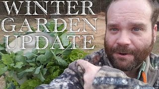 Winter Greenstalk Vertical Garden Update