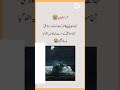 7 Ramadan shahadat e bibi Fatima binte Asad #allah #trending #youtube #ytshorts #shorts #shia #viral