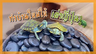 Little Turtles เต่าญี่ปุ่น | สร้างบ้านใหม่ให้น้อง ๆ กันนน DIY Mini Turtle Pond!