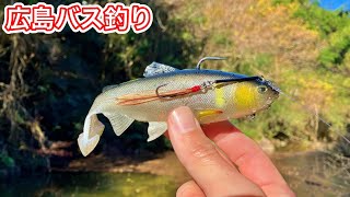 【広島バス釣り】気温2度。ルアーボックスを忘れてグダグダでバスは釣れるのか！？【車中泊釣り旅】