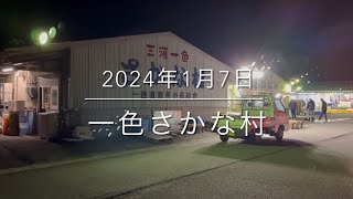 【魚類最強朝市】2024年初市場‼︎リアルな現状『一色さかな村』大公開