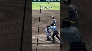 上手くバッターが誤魔化したとも言えるが #高校野球 #甲子園 #石橋 #聖和学園