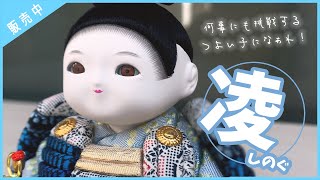 【大将飾】凌くんのご紹介✨【ふらここ/五月人形】