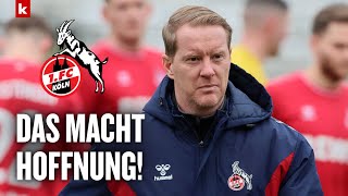 1. FC Köln wirklich am Abgrund? Diese 3 Dinge machen Hoffnung!
