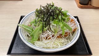 かつやの新メニュー「塩カツ丼」が山盛り野菜と塩だれロースカツでボリューム満点でした