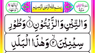 95 Surah At Tin Pani Patti Tilawat (HD) Arabic text | Learn Quran Live