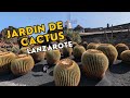 A walkthrough tour of the world famous cactus garden in Lanzarote