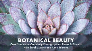 Botanical Beauty: Plant & Flower Case Studies Recorded Webinar with Sarah Marino and Anne Belmont