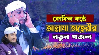 রাতের আধারে যারা সেজদাতে রয়। মুফতি গিয়াস উদ্দিন তাহেরী গজল Mufti Gias Uddin At-Taheri