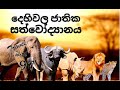 Dehiwala Zoo | National Zoological Garden of Sri Lanka | Travel with 97