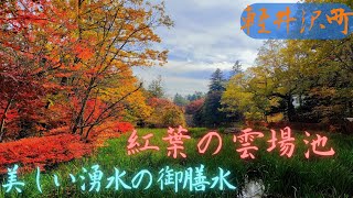 🍁紅葉と雲場池と御膳水【長野県軽井沢】Kumobaike Pond with autumn leaves. Gozensui of beautiful spring water. 2022.10.23