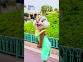 クラリスグリーティング🐿💐