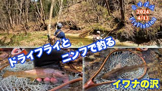 2024-4/13会津渓流FlyFishing【ドライフライとニンフで釣る】イワナの沢